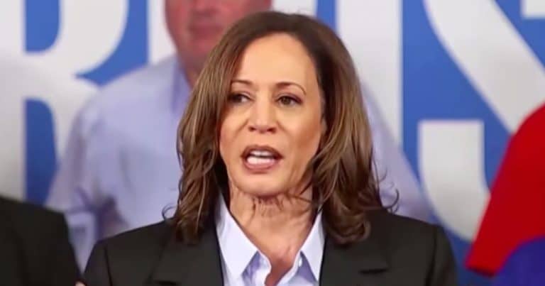 After Kamala Claims She Made Big Progress at the Border, Official Border Union Claims She Lied