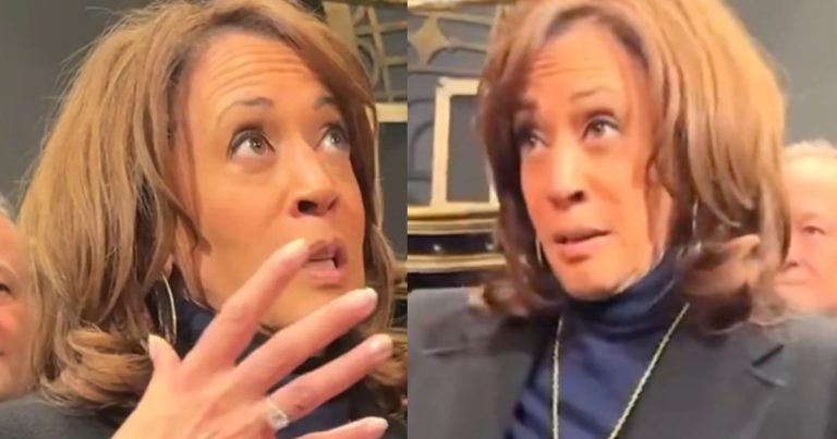 Kamala Harris Delivers Confusing Speech at Broadway Show in Latest ‘Word Salad’ Moment