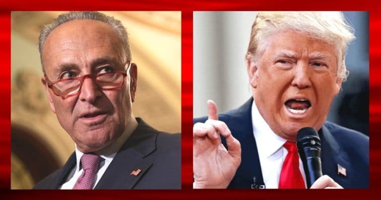 After Chuck Schumer Betrays Our Top Ally – Donald Trump Delivers 1 Grave Warning