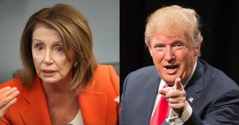 Pelosi Suddenly Hits Trump with Sick Accusation – She Claims Donald Has This 1 Disease