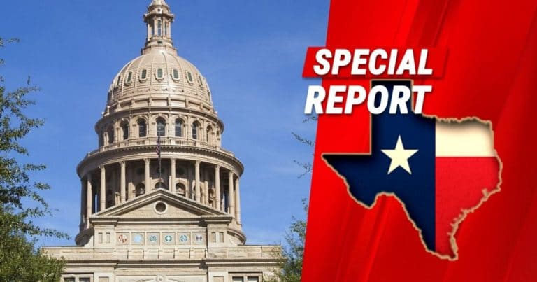 Texas Supreme Court Drops Huge 8-1 Ruling – Major Blow to the Left’s Holy Grail