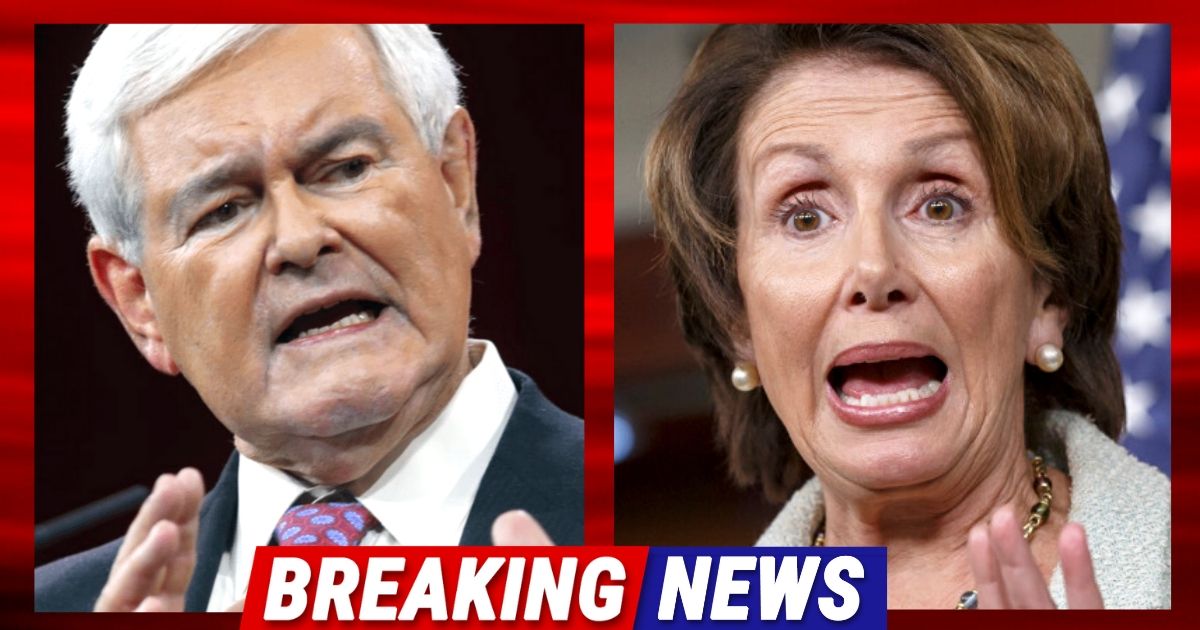 Newt Gingrich Sends Opens Democrat Eyes To 2022 Reality – He Claims Pelosi And Biden Are Headed For 30 Seat Retirement