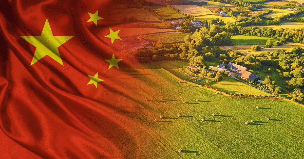 Two Red States Shut Down China Plot – They Just Passed Bills That Freeze the Communists in Their Tracks