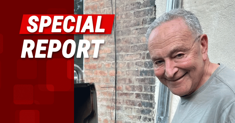 Chuck Schumer Gets Roasted For 1 Embarrassing Pic – America Quickly Spots the Mistake