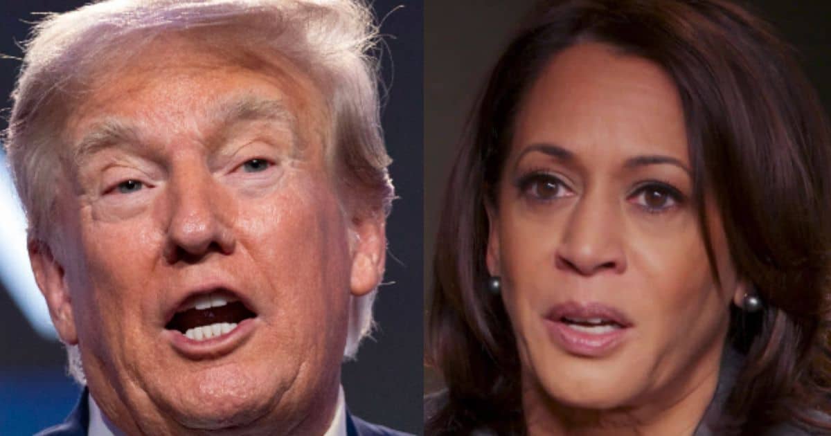 Putin Endorses Kamala Harris? Trump’s Hilarious Response Says It All