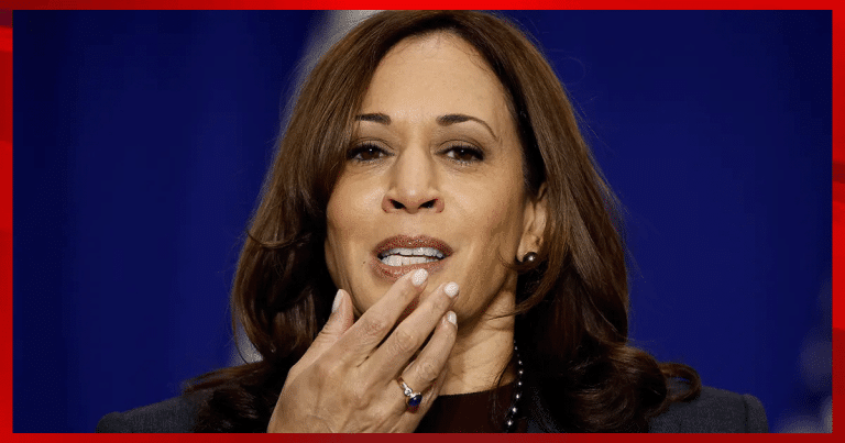 Minutes After Harris Finishes 1st Solo Interview – Critics Pile on with Brutal Response